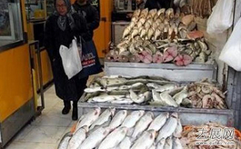 多國欲投資伊朗漁業養殖業