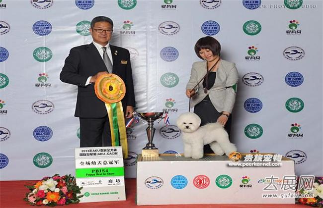 武汉宠物展：宠物行业已发展成新型朝阳行业