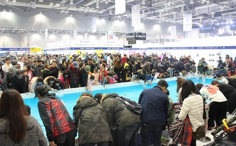 韩国渔具钓具展览会FISHING KOREA(现场照片)1