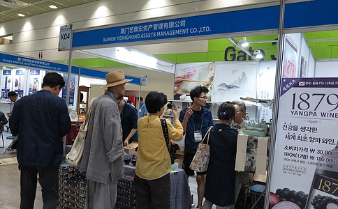 韩国首尔茶展览会Tea World Festival