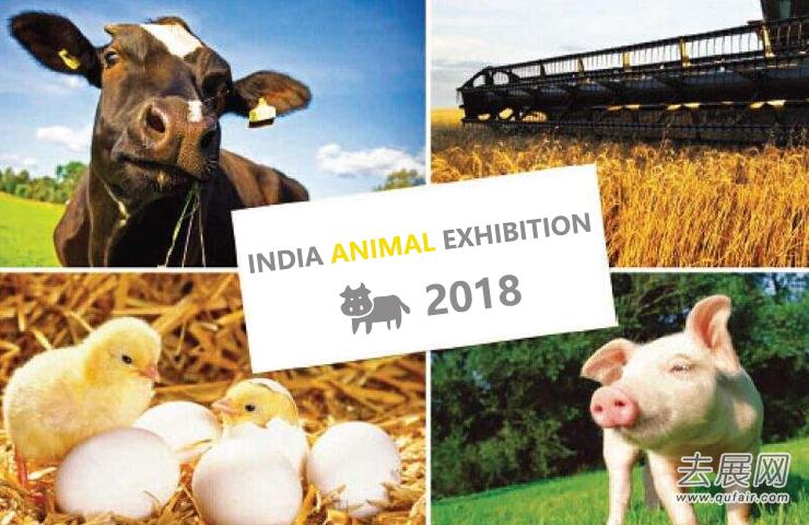 印度畜牧展：印度正在成为世界第二大家禽市场