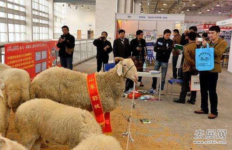安徽畜牧展：华中六省、华东三省最大的畜牧业展会