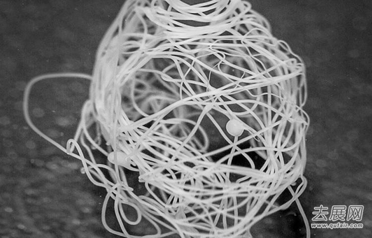 美國研制出“人造蛛絲”,已成功應用于紡織生產
