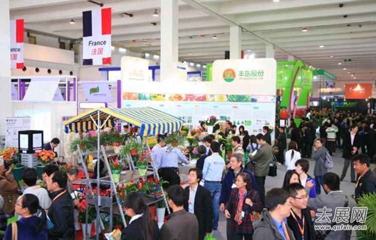 中國花卉展助力家庭園林產業“更上一層樓”