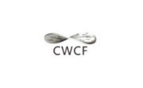 深圳国际钟表展览会CWCF