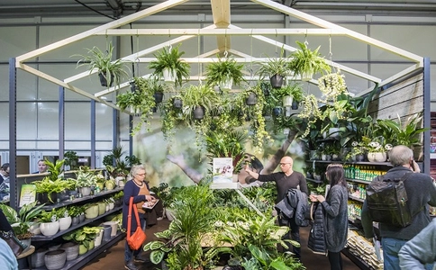 俄罗斯莫斯科园艺园林花卉展览会FlowersExpo(现场照片)1
