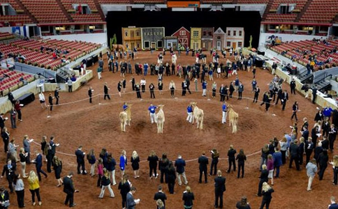 美国畜牧展览会WORLD DAIRY EXPO(现场照片)2