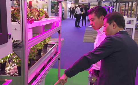 荷兰阿姆斯特丹园林园艺展览会GreenTech 