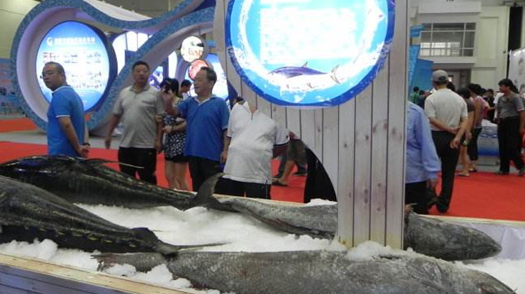 福州渔博会月底开幕,将举办首届海峡两岸秋刀鱼文化节