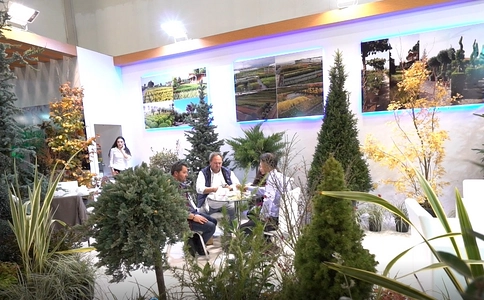 土耳其伊斯坦布尔园林园艺展览会Flower Show
