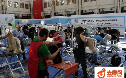 意大利博洛尼亚宠物用品展览会zoomark Italy