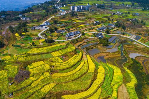 中国农交会:川字金招牌引领蜀地农业再创辉煌