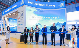 挪威海產局再度參展進博會，展示當地優質海產品