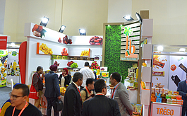 埃及食品和包装展凸显非洲市场潜力
