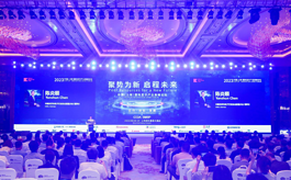 DIC 2024上海显示技术展同期会议议程提前预览