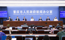 如何释放会展经济综合带动效应？重庆这样做