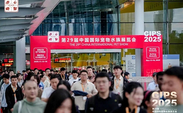 超10万观众齐聚广州，CIPS 2025呈现行业全维度升级
