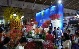 21个国家、4.1万名采购商齐聚,昆明花卉展现场“买买买”