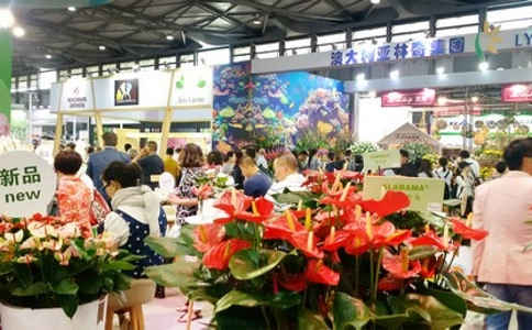 广州国际花卉园艺及盆景展览会（现场照片）2