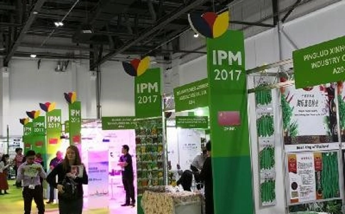 中国花卉园艺展览会HORTIFLOR(现场照片)1