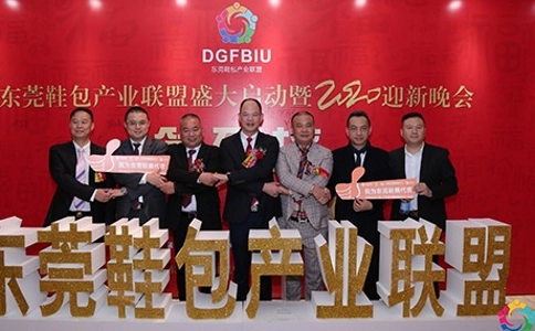 东莞皮革鞋机鞋材展览会DLSF