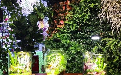 广州国际花卉园艺及盆景展览会（现场照片）6