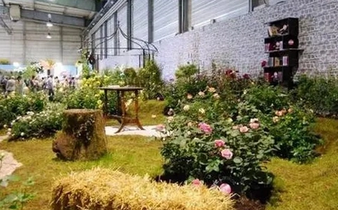 广州国际花卉园艺及盆景展览会（现场照片）8