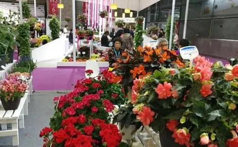 广州国际花卉园艺及盆景展览会（现场照片）9