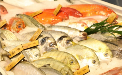 深圳渔业博览会SZSEAFOOD （现场照片）4