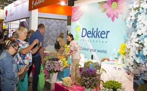 俄罗斯莫斯科园艺园林花卉展览会FlowersExpo(现场照片)4