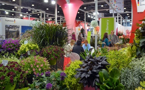 俄罗斯莫斯科园艺园林花卉展览会FlowersExpo(现场照片)5