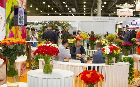 俄罗斯莫斯科园艺园林花卉展览会FlowersExpo(现场照片)9