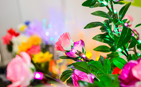 海南（东盟）建材及家具装饰博览会