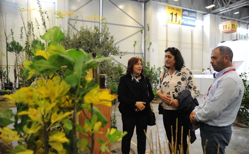 土耳其花卉园艺园林展览会The Flower and Plant Show