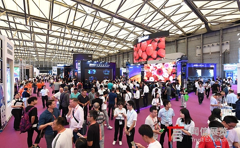 上海国际LED显示屏及照明展览会LED CHINA（现场照片）4