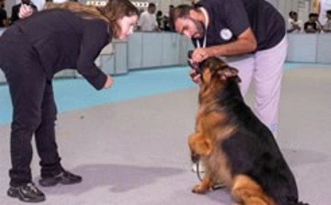 迪拜宠物用品展览会PETWORLD (现场照片)6