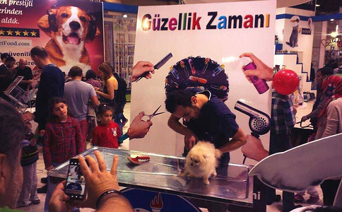土耳其宠物用品展览会