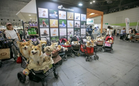 日本东京宠物用品展览会Interpets（现场照片）13