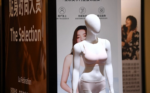 上海国际贴身时尚原辅料展览会Interfiliere （现场照片）18