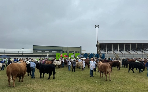 澳大利亚肉产业及肉类加工展览会Beef Australia(现场照片)3