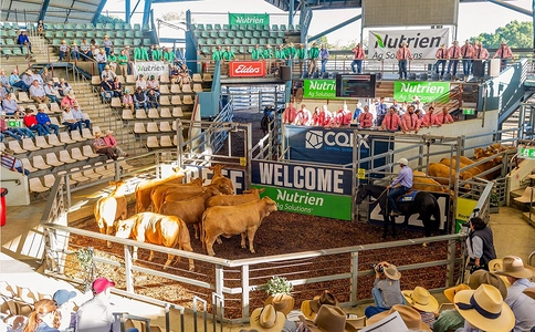 澳大利亚肉产业及肉类加工展览会Beef Australia(现场照片)6