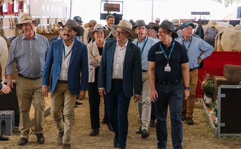 澳大利亚肉产业及肉类加工展览会Beef Australia(现场照片)4