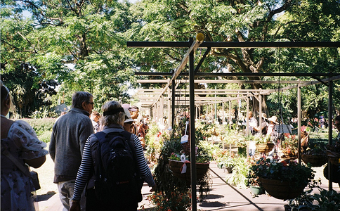 澳大利亞花卉園林展覽會