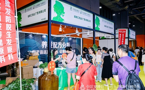 中国发博会CHE
