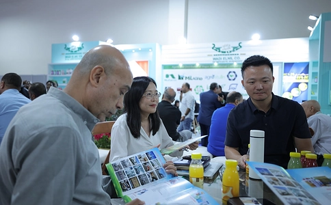 埃及农业展览会Sahara Expo(现场照片)8