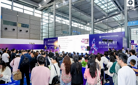 深圳国际消费类电子及家用电器展览会IEAE（现场照片）71