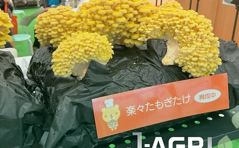 日本东京农业展览会J-AGRI (现场照片)4