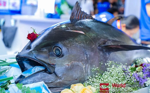 上海国际渔业博览会World Seafood Shanghai