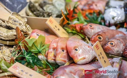 上海国际渔业博览会World Seafood Shanghai