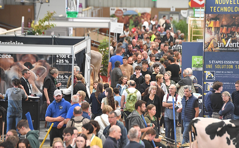 法国雷恩畜牧展览会
